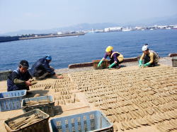 ���߂̓V������