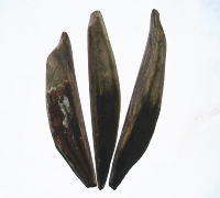 �������{��C